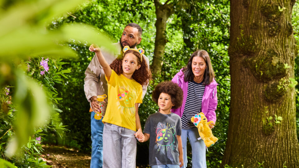 a family walking in a wooded area