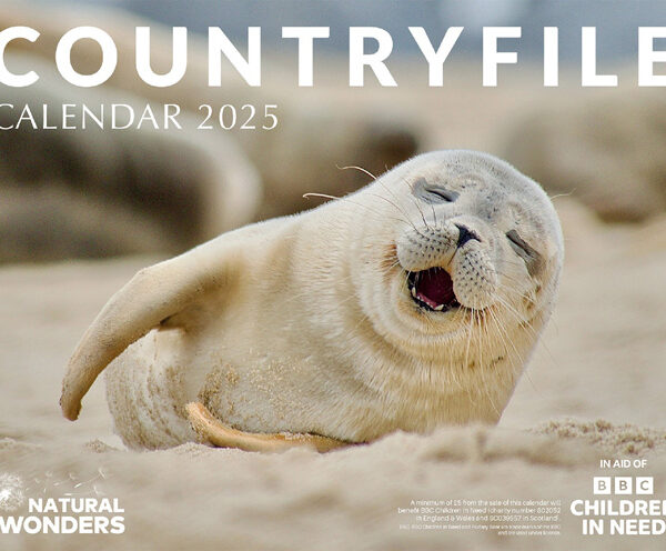 The front cover of the 2025 Countryfile calendar, with a seal